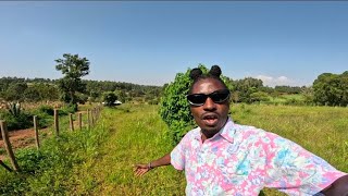 Download Lagu WHY TODAY IS PERSONAL  !!! MP3