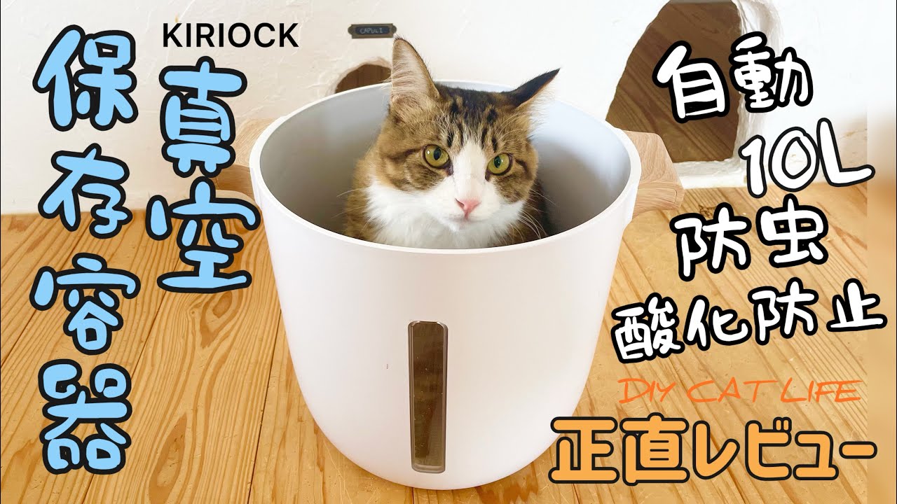 猫ご飯を保存する容器が便利すぎる【KIRIOCK真空保存容器】