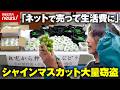 【大量窃盗】限界集落の生き残り策なのに…シャインマスカット「日本は盗まれない」前提が崩壊の現実｜ABEMA的ニュースショー