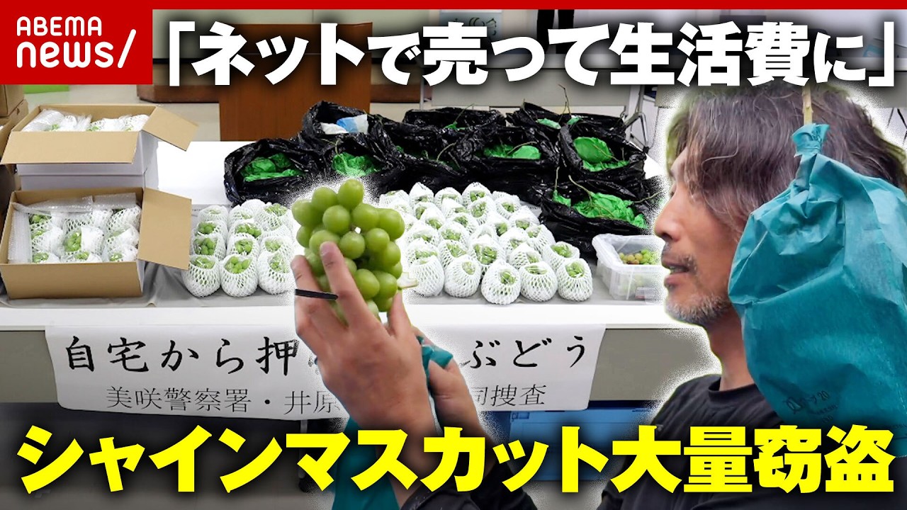 【大量窃盗】限界集落の生き残り策なのに…シャインマスカット「日本は盗まれない」前提が崩壊の現実｜ABEMA的ニュースショー