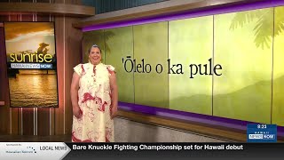 Hawaiian Word of the Day: Ho'opa'a