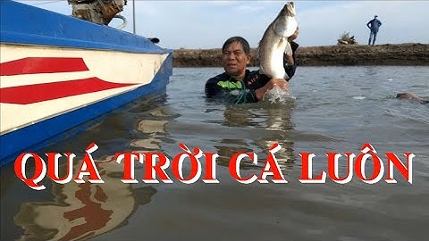 Toàn cảnh rạng đầm chú 4 Nhỏ ở Lý Nhơn, Cần Giờ, cá quá khủng khiếp