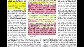 דף יומי מסכת סוכה דף לט Daf yomi Succa daf 39 @DafYomiVideo.com