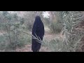 قصه واقعيه الحال عن عبد الشط رساله الى كل مواطن قناة افلام عراقية قصيره 