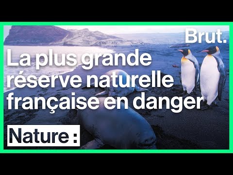 La plus grande réserve naturelle française