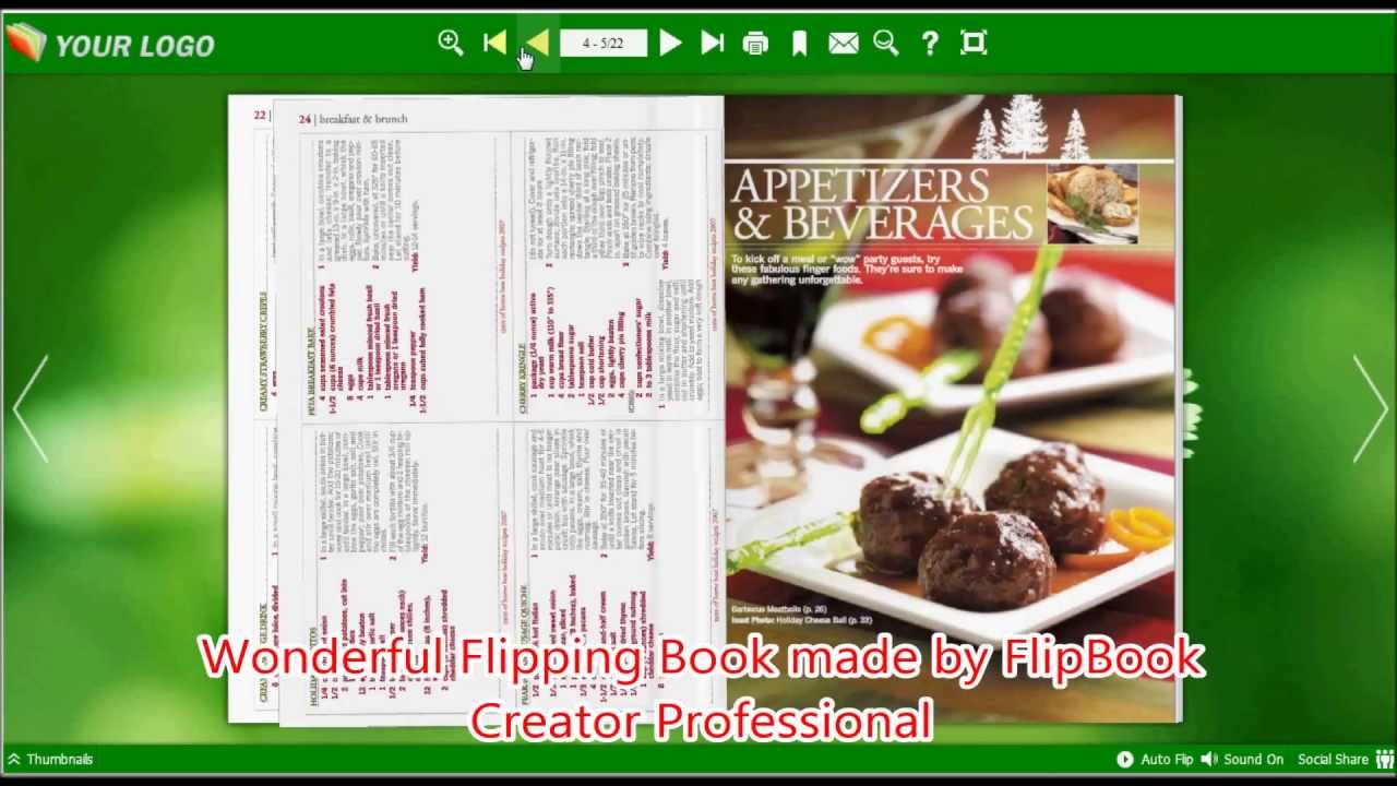 Insert Background Music for Flip Brochure by FlipBook Creator Professional
