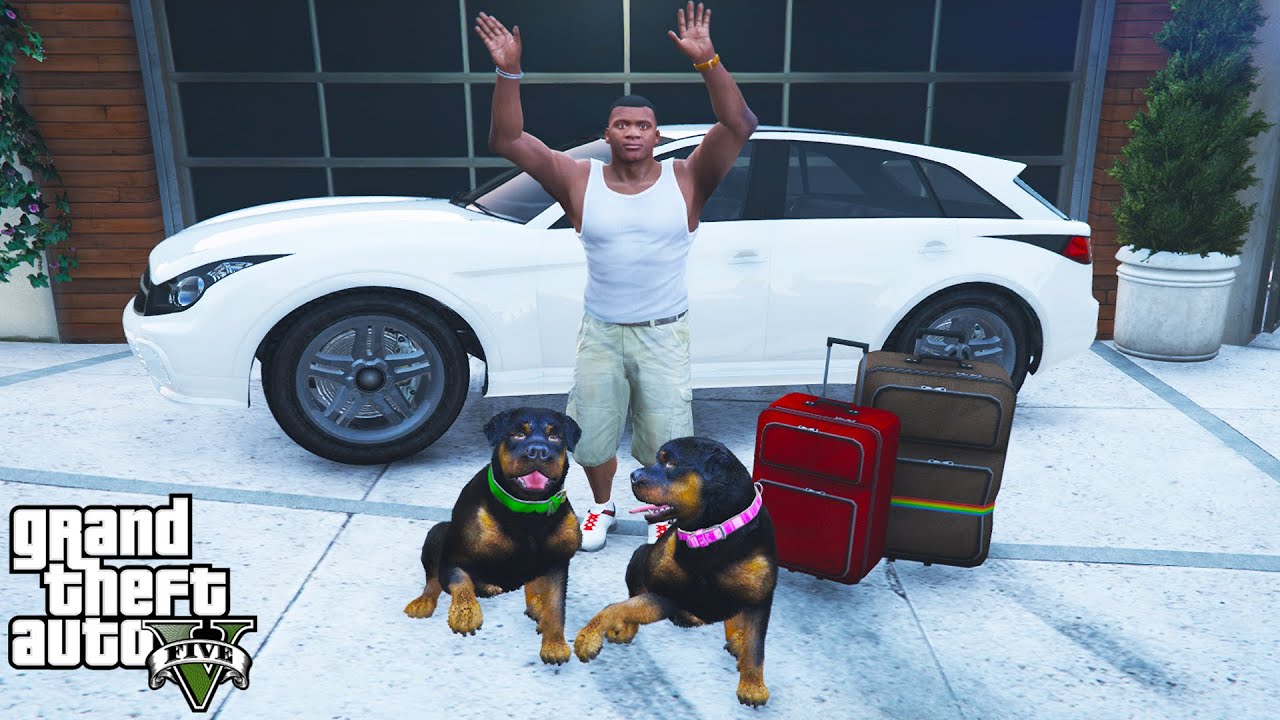 Franklin, Chop And Chop's Girlfriend Road Trip in GTA 5 (funny)