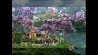Haig Yazdjian / Home