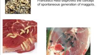 BIO 101 1 1 4 Single Variable Analysis Net Worth