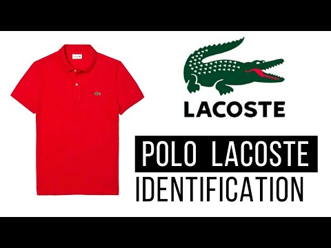 Identifikasi Polo Lacoste Ori vs Fake