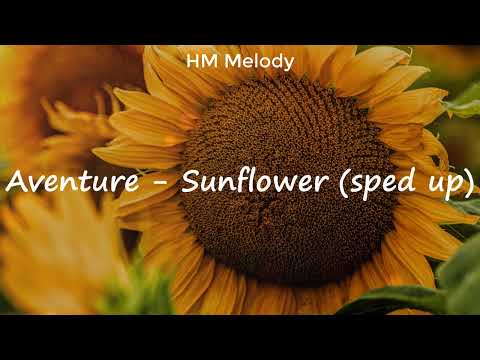 Aventure | Sunflower (sped up) [4K]