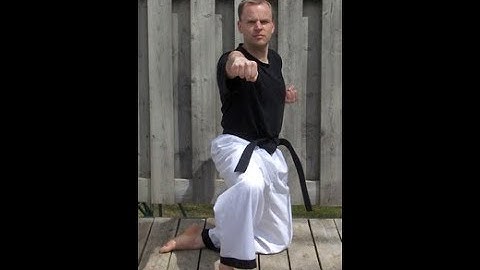 Taekwondo: Hapkido: Foundations: Crouching (kneeling) middle punch - front view