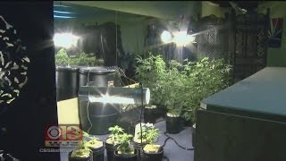 Anne  Arundel County Closer to Getting Medical Marijuana Dispensary