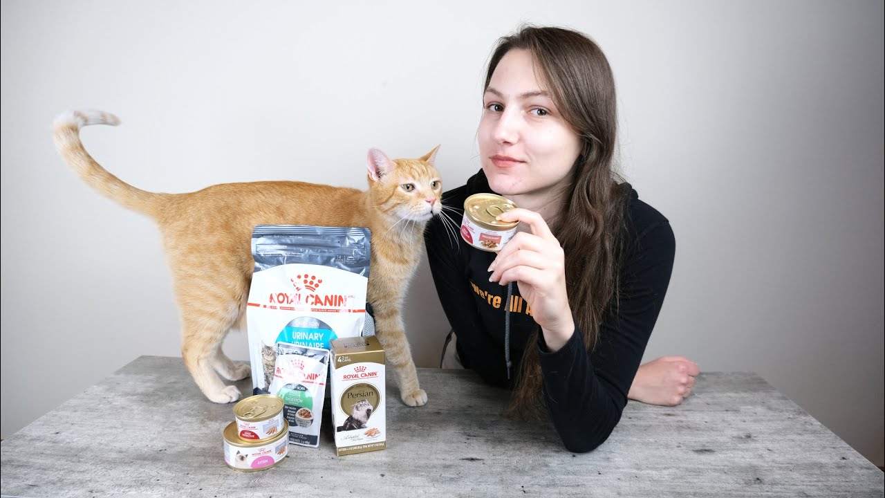 Royal Canin Cat Food Review You
