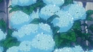 𝑪𝒍𝒂𝒊𝒓𝒆 𝑹𝒐𝒔𝒊𝒏𝒌𝒓𝒂𝒏𝒛- 𝑩𝒂𝒄𝒌𝒚𝒂𝒓𝒅 𝑩𝒐𝒚 (𝒔𝒍𝒐𝒘𝒆𝒅+𝒓𝒆𝒗𝒆𝒓𝒃)