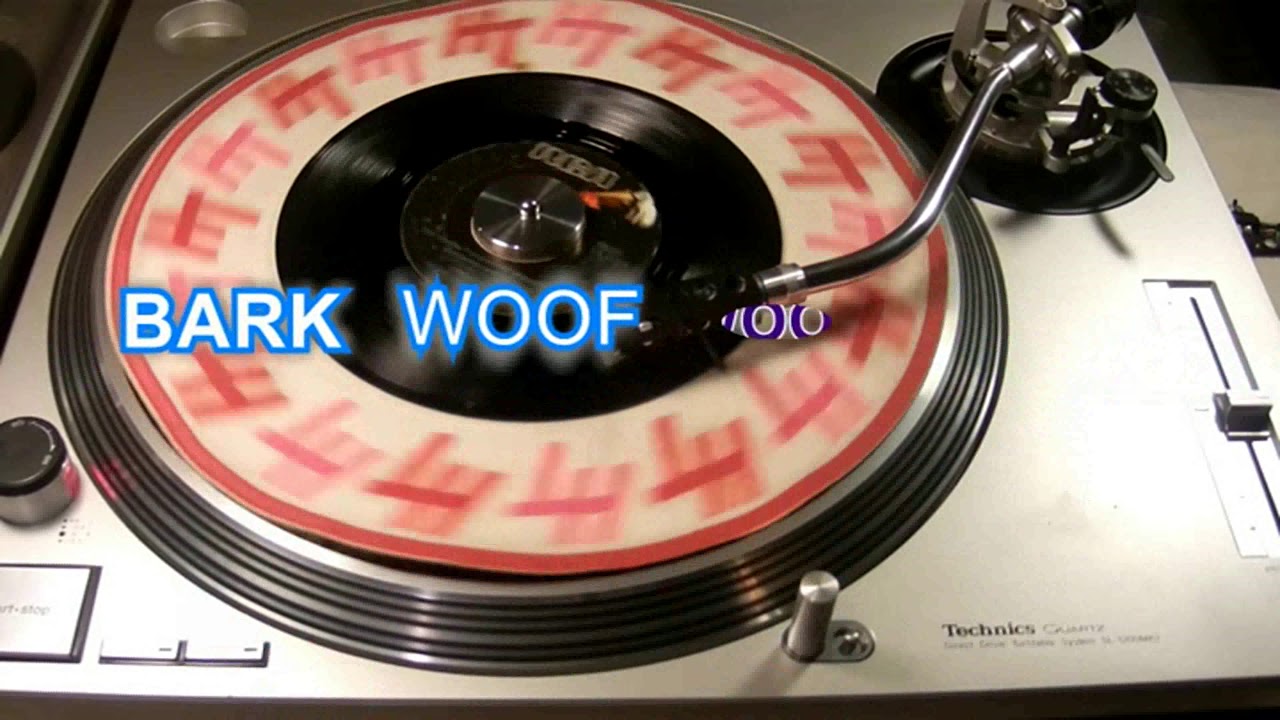 JINGLE BELLS THE SINGING DOGS YouTube