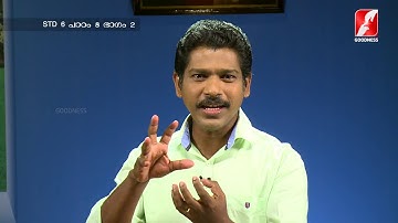 MANE NOBISCUM | Std 6 | Lesson 8 | Module 2 | SUNDAY CATECHISM