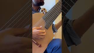 12-string Vanitas guitar (first meeting)