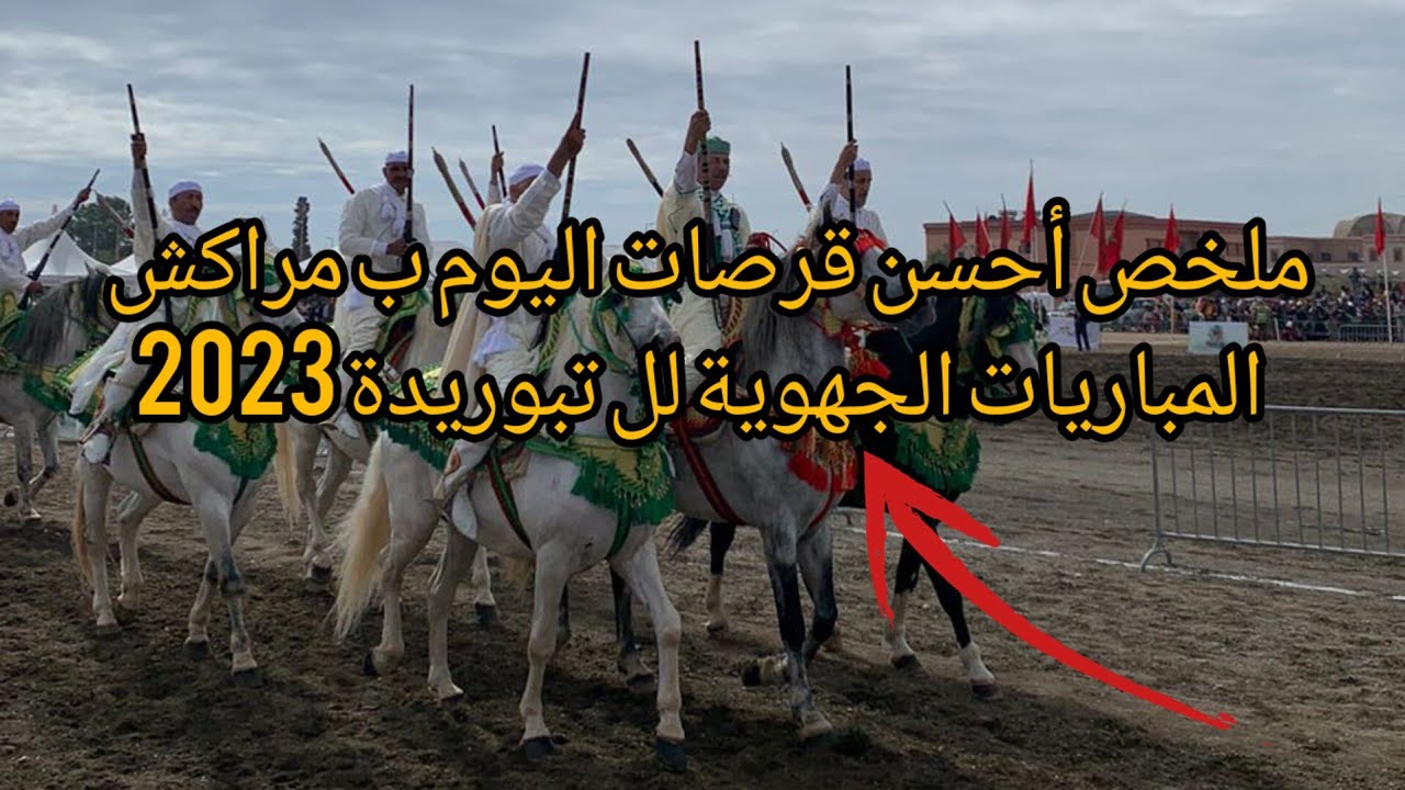 tbourida Marrakech ملخص أحسن قرصات اليوم ب مراكش  المباريات الجهوية لل تبوريدة 2023