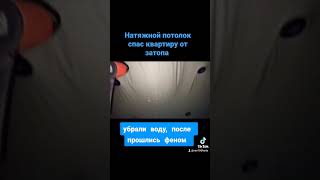 натяжной потолок спас квартиру от патопа