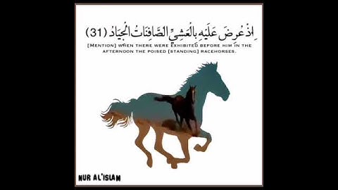 الشيخ نعمة الحسان -  سورة ص - من الآية 30 إلى الآية 33