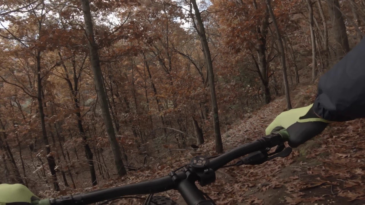 Stillwell woods and a Fatbike