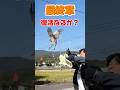 怪我した鷹…飛べたのか？#黒猫#鷹#トンビ#ペットを飼う会社#塗装