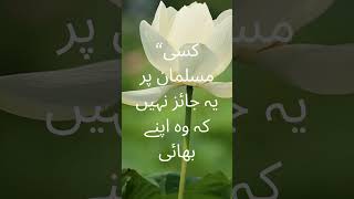 Islamic Lesson of Love Between Brothers & Sisters #viral#hadees #shortvideo #shorts  #lightofislam