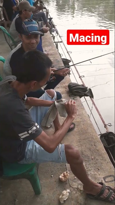 Video Viral Mancing Ikan Mas. #short #tiktok #fyp #pov #lucu #mancing #jokotingkir