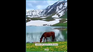 ﴿هذا خَلقُ اللَّهِ فَأَروني ماذا خَلَقَ الذينَ مِن دونِهِ﴾ تلاوة من سورة لقمان بصوت القارئ فارس عباد