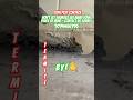 How to Control White Ants at Home? | Anti Termite Service Chennai