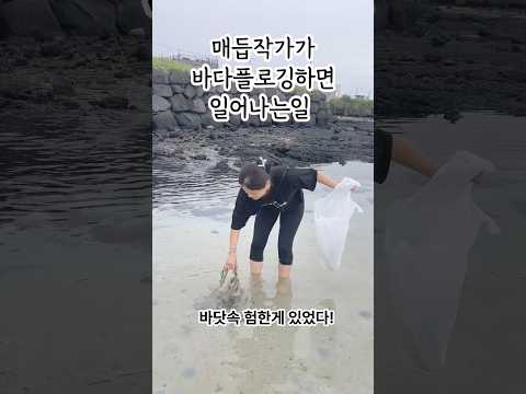 매듭작가가 바다에서 플로깅하면 일어나는 일