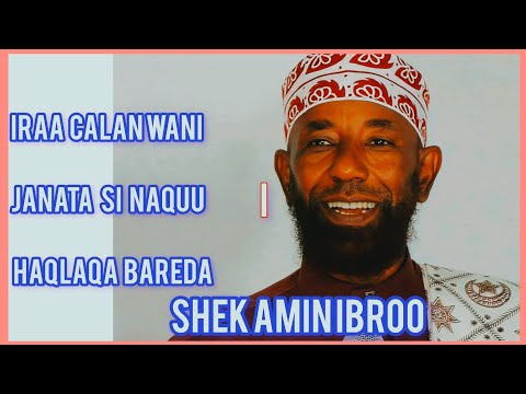 Irraa Calan Wani Janata Si Naquu Haqlaqa Bareda Yoo Qabatee Shek Amin Ibroo 