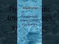 Algebra Fact: The Quadratic Formula Explained
