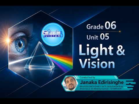 Grade 06 - Light and Vision