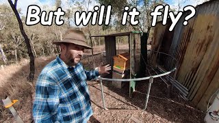Disaster Averted: We Saved the Bee Hive