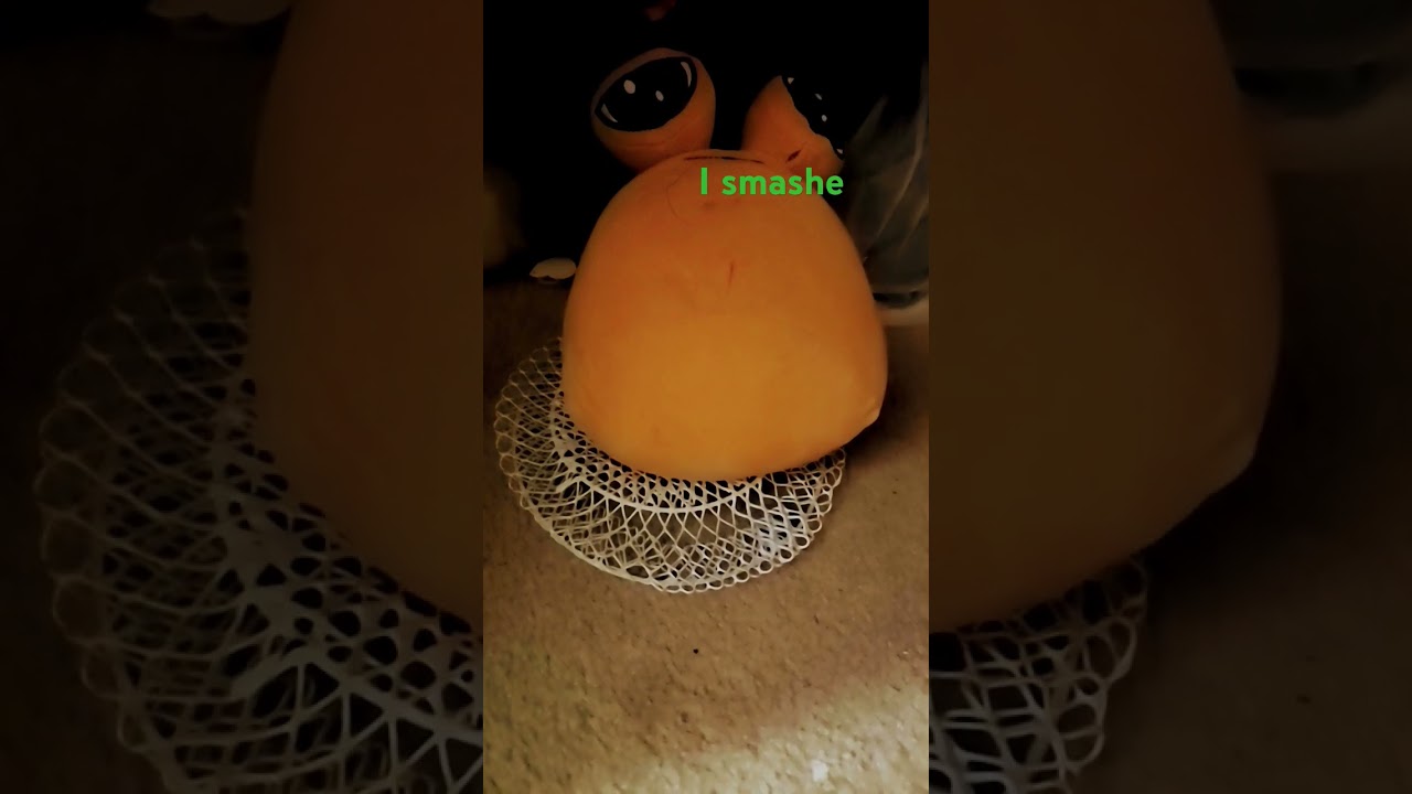 27 September 2029 (FAKE YEAR)