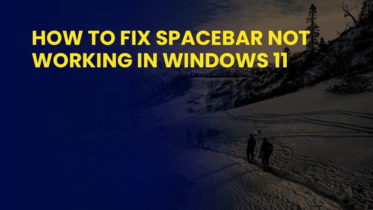 How to Fix Spacebar Not Working in Windows 11 - YouTube