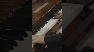 Dvořák for four hands - but it's just one pianist!?  #piano #classicalmusic #arrangement #music