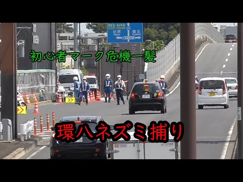 【ネズミ捕り】初心者マーク危機一髪!