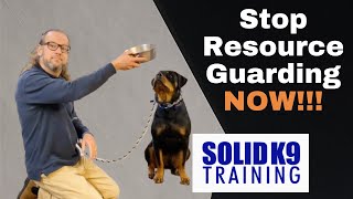 Stop Resource Guarding NOW!!!  Solid K9 Training (2021)