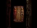 body system #shortsyoutube #radiologyeducation