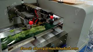 Automatic Celery Packing Machine Video