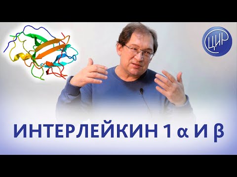 Интерлейкины 1α и 1β. Роль интерлейкинов 1α и 1β в организме. Полиморфизмы гена интерлейкина 1.