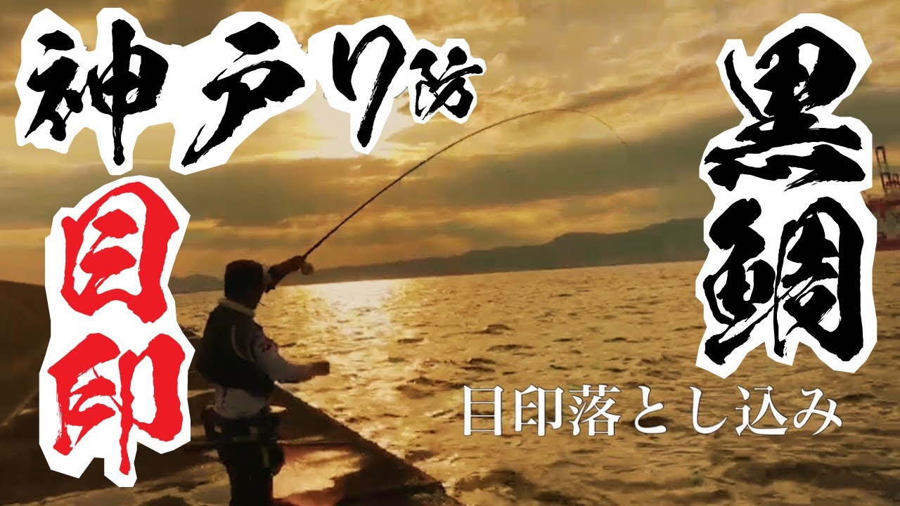 神戸第7防波堤ヘチ釣り V S 目印落とし込みで目印完全敗北でした 週末釣行後編 ローレルの黒鯛落としこみ釣りハマってます