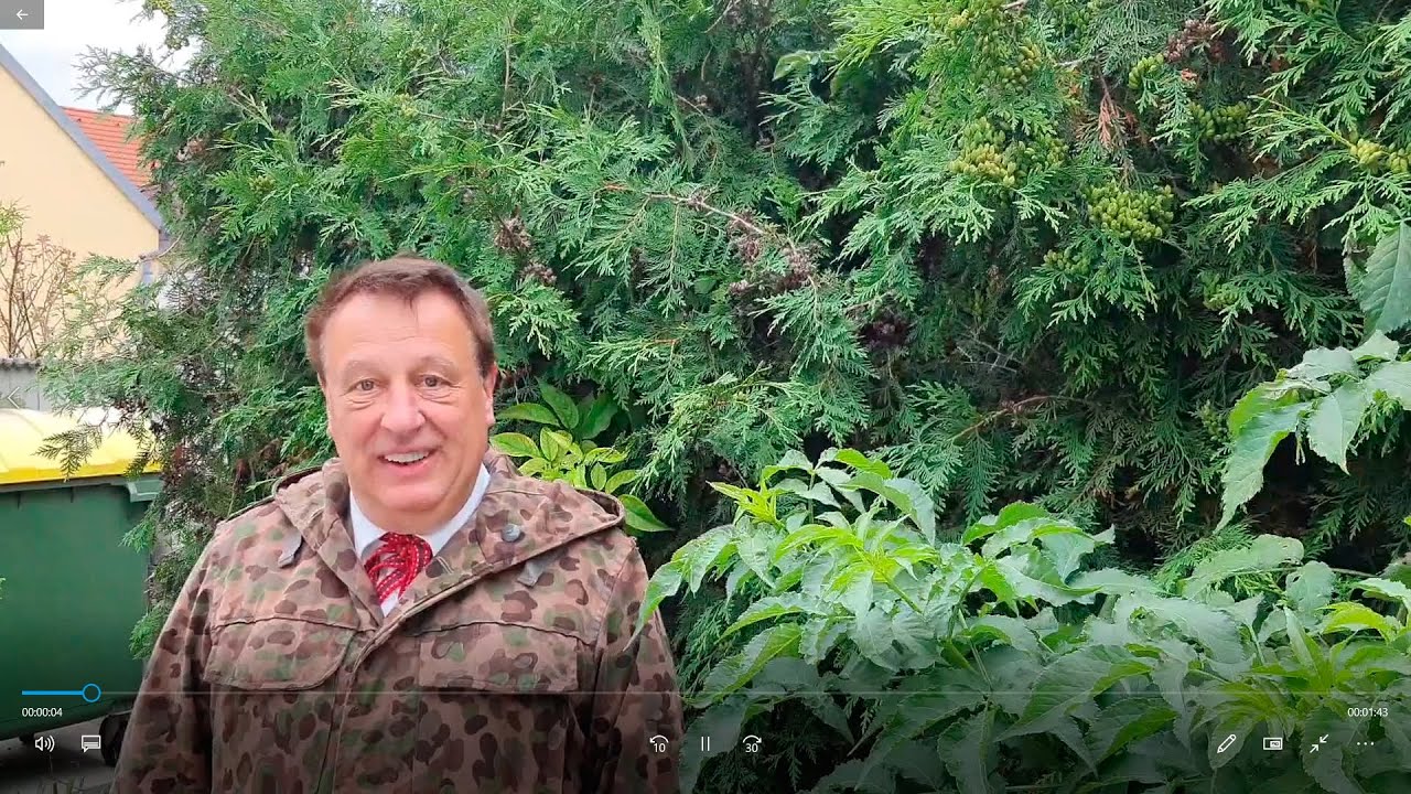 800 Jahre Pöttsching: Im Juliquiz geht es um die Zeit des "Kalten Krieges" in Pöttsching: