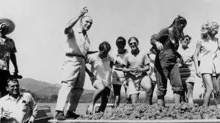 Robert Mondavi Featured in SOMM: Into the Bottle