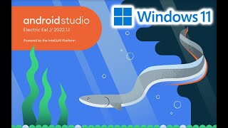 How to install Android Studio on Windows 11 screenshot 3