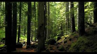 Natural song | Amazing Grace - Cooper Cannell |  New music |YouTube l audio library.
