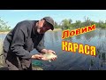 Ловим Весеннего КАРАСЯ 🐟 Река, Поклёвки, Рыба / Fishing Video